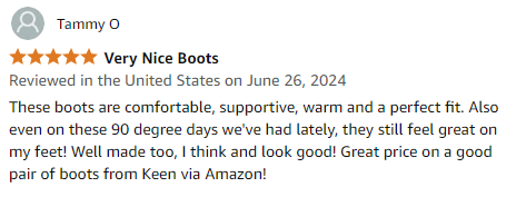 Customer Review